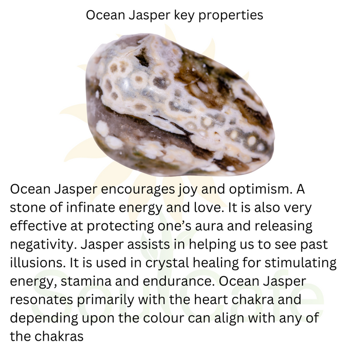 Ocean Jasper Power Bead Crystal Bracelet - Crystal Gemstone Bracelet - Gift Box & Tag